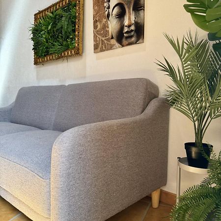 Affittacamere Casa Sao Sebastiao Casas Bem Haja São Miguel de Acha Esterno foto