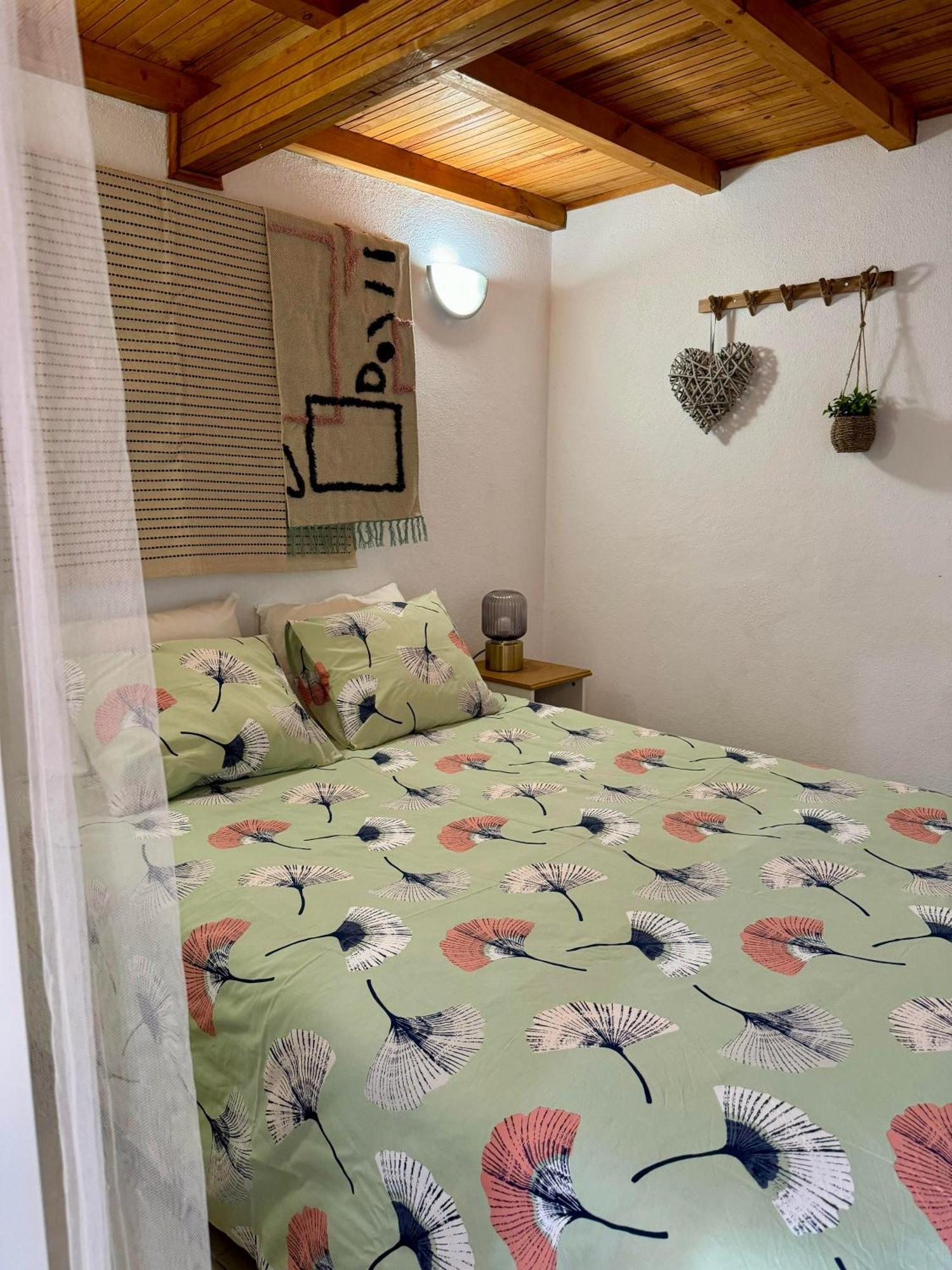 Affittacamere Casa Sao Sebastiao Casas Bem Haja São Miguel de Acha Esterno foto